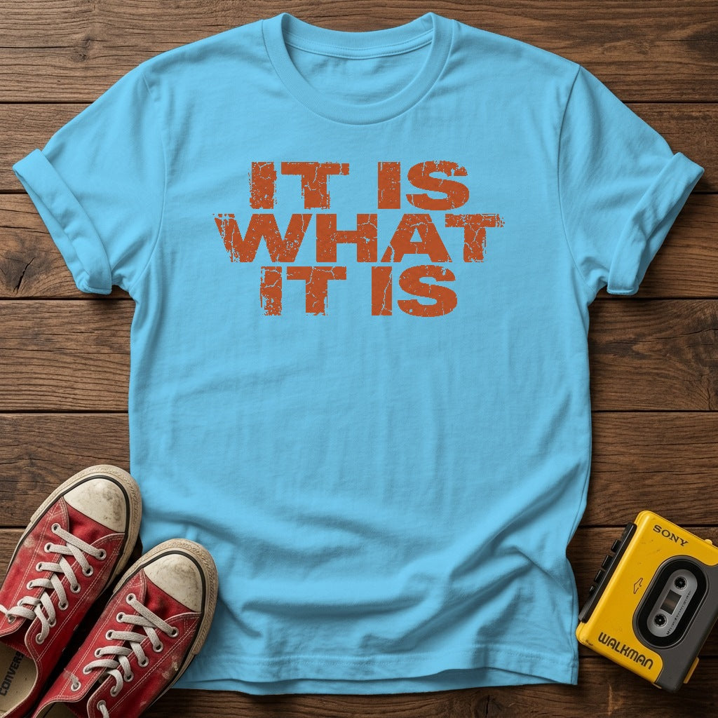 It Is What It Is T-Shirt — Sky wood flat-lay